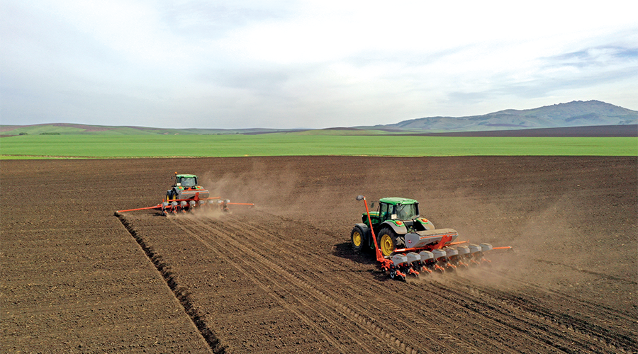 KOSMA M_WORK_SOIL_JD (2).png KOSMA M_WORK_SOIL_JD (2).png