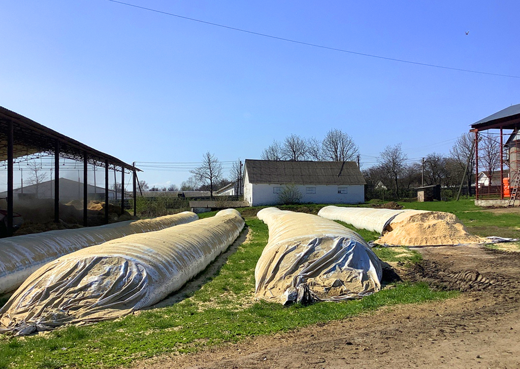 1241212124.jpg 1241212124.jpg