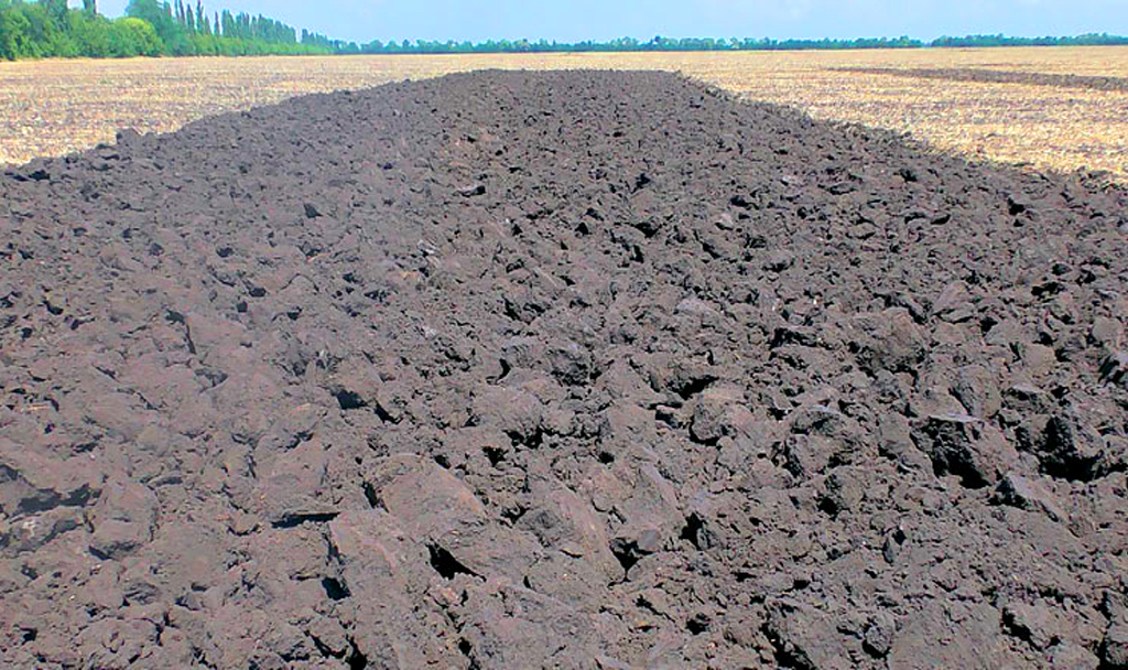 Без имени2112-2.jpg