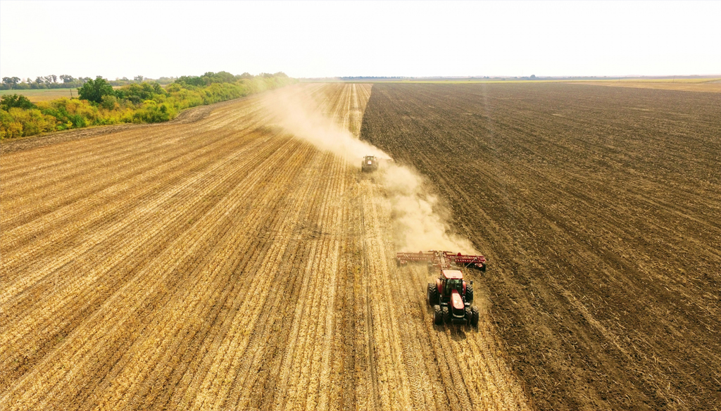 11111211331.jpg 11111211331.jpg