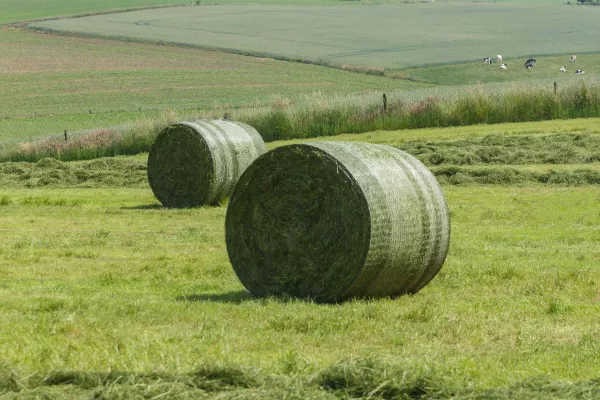 Постійне натягнення сітки